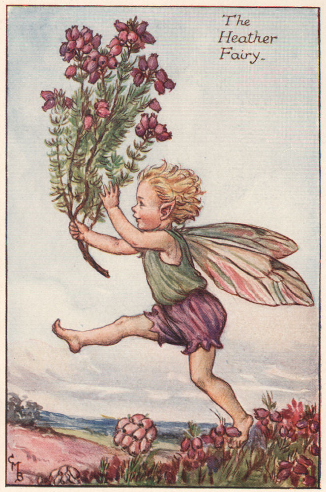 Heather Fairy by Cicely Mary Barker. Summer Flower Fairies c1935 old print
